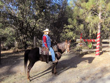 Wendy at Round Tuit